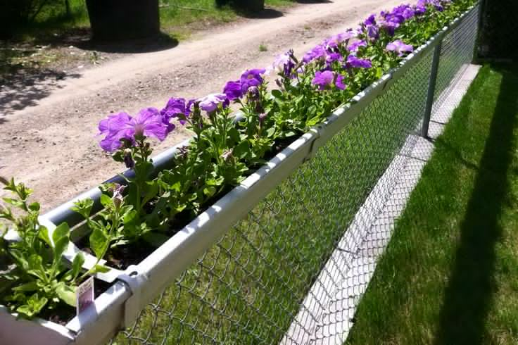 Secure your garden in Pakistan