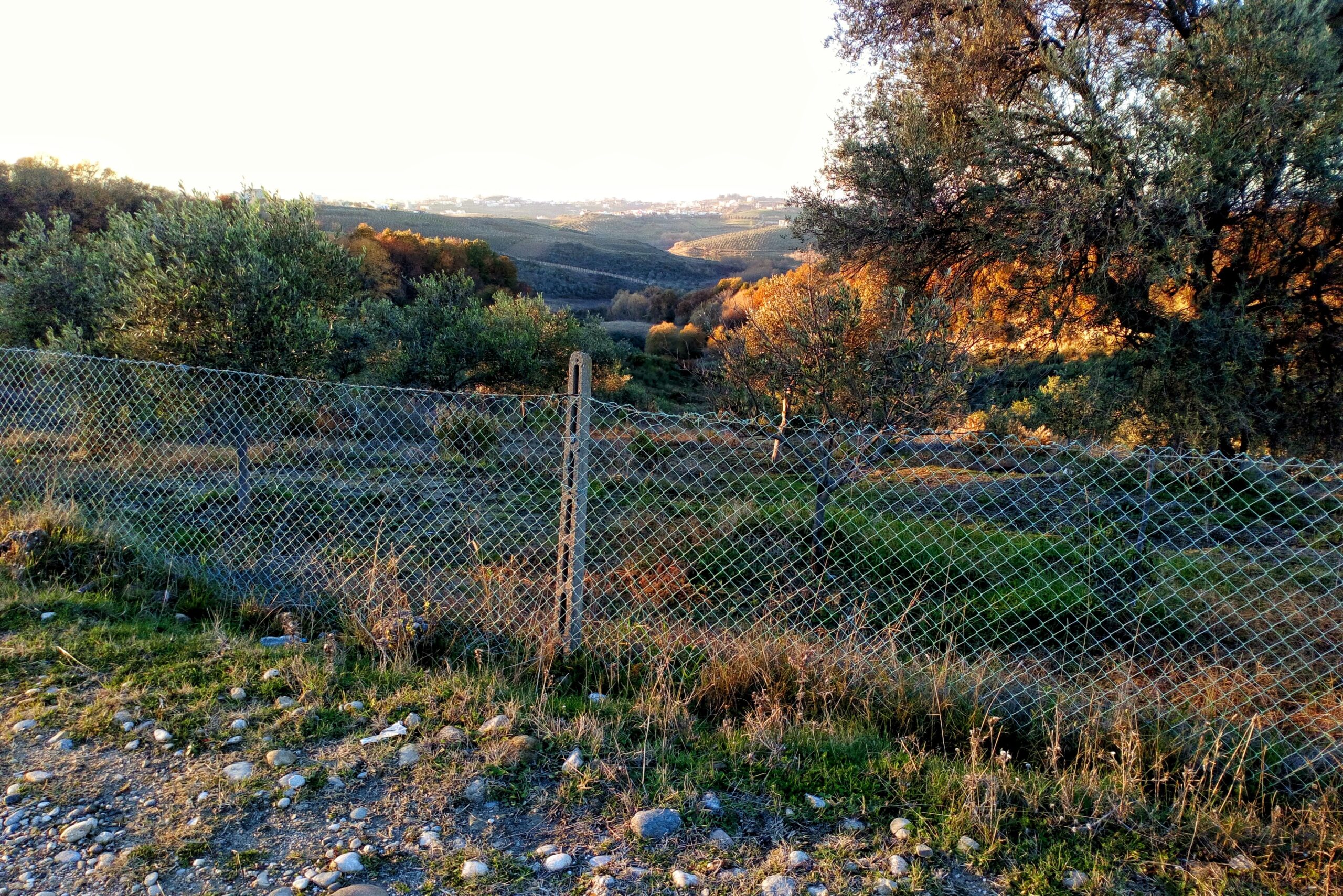 Agricultural fence Pakistan